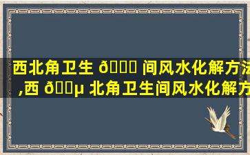 西北角卫生 🕊 间风水化解方法,西 🐵 北角卫生间风水化解方法放只石龟可以吗